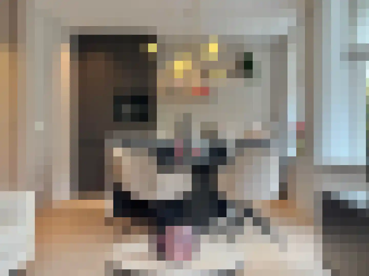 Lijnbaansgracht 211 3 Amsterdam thumbnail 11