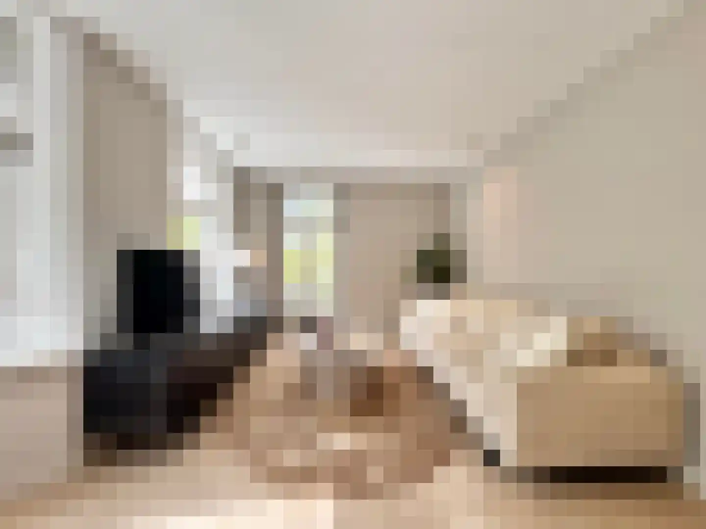 Lijnbaansgracht 211 3 Amsterdam thumbnail 5