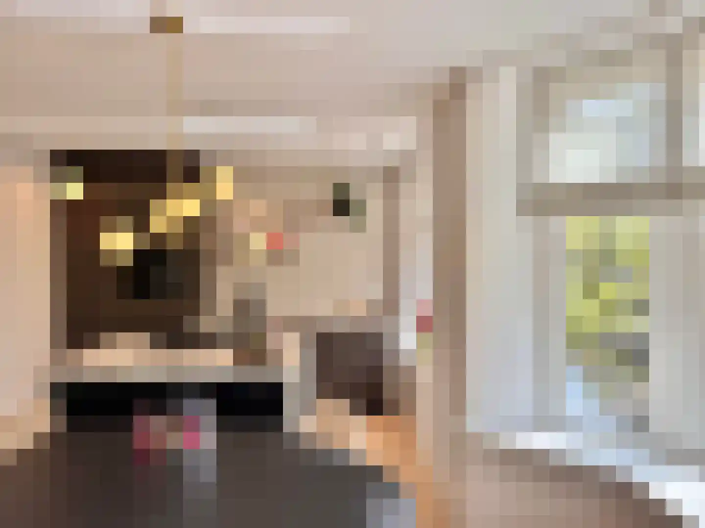 Lijnbaansgracht 211 H Amsterdam thumbnail 17