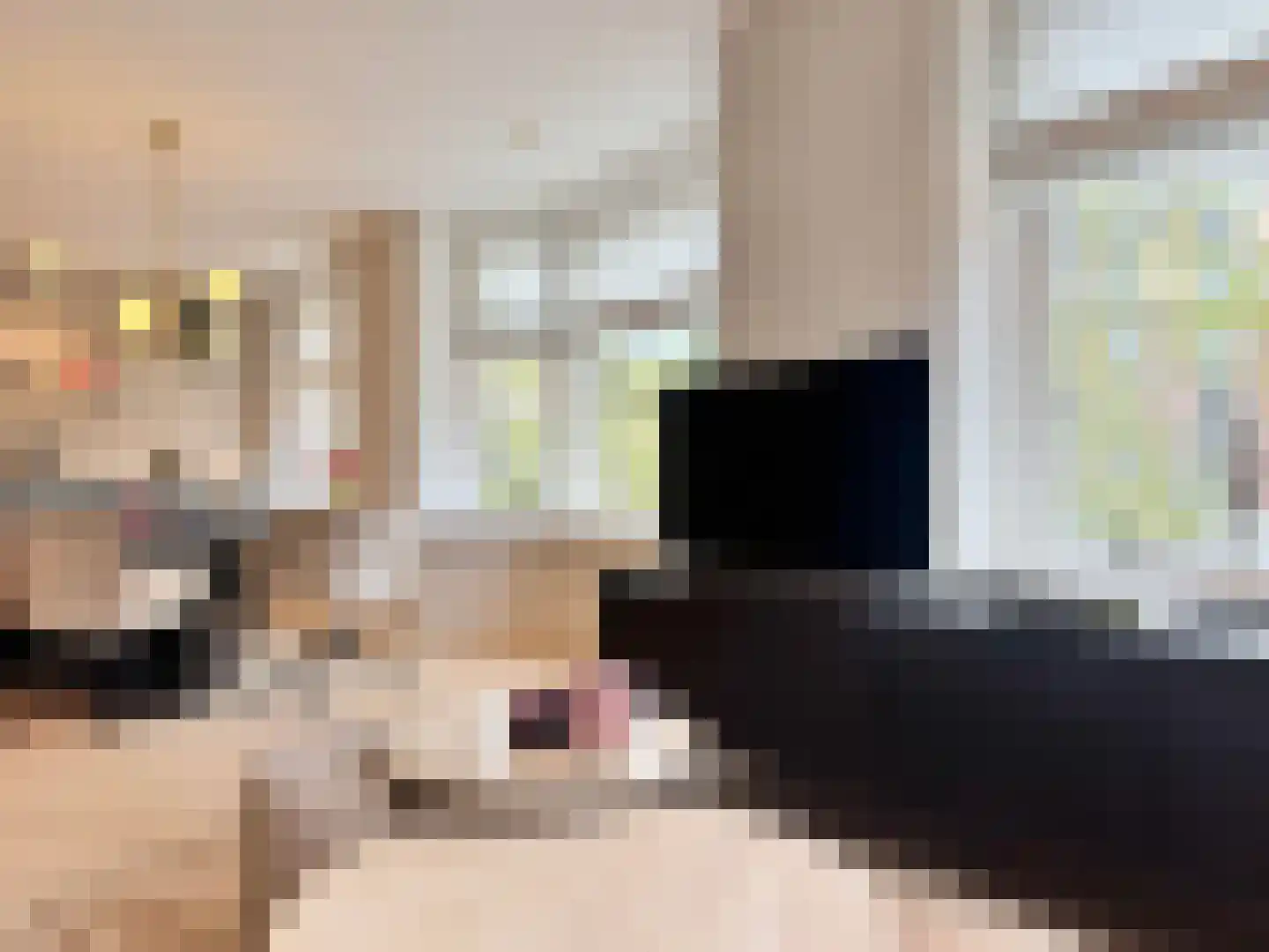 Lijnbaansgracht 211 H Amsterdam thumbnail 23