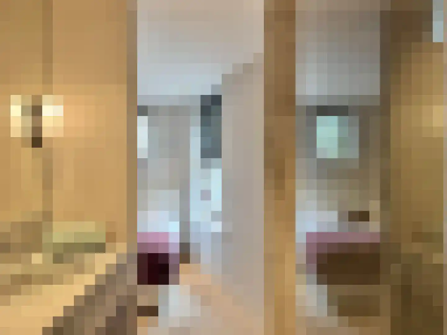 Lijnbaansgracht 211 H Amsterdam thumbnail 30