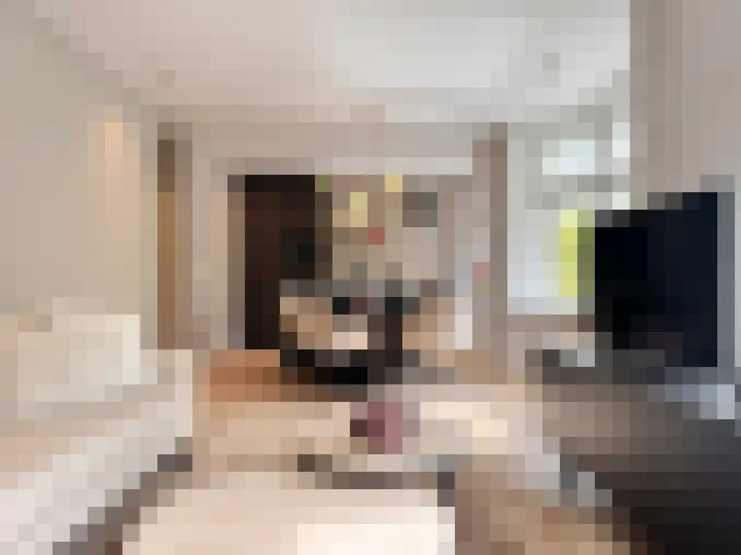 Lijnbaansgracht 211 H Amsterdam thumbnail 4