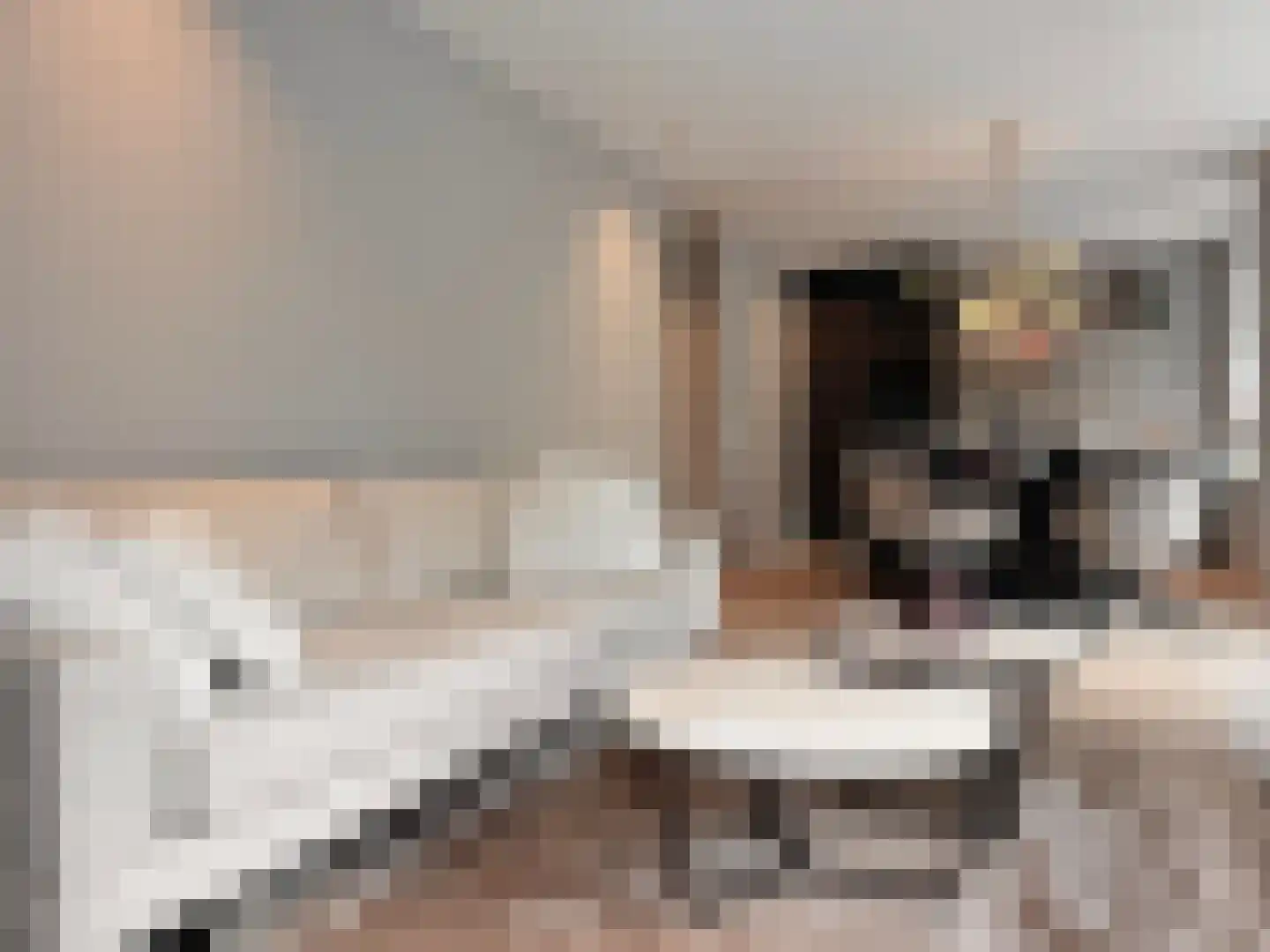 Lijnbaansgracht 211 H Amsterdam thumbnail 8