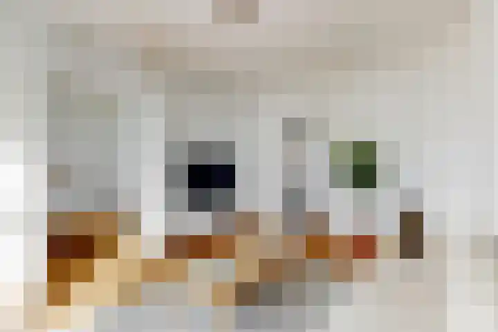 Lijnbaansgracht 212 3 Amsterdam thumbnail 11