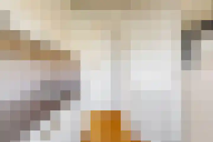 Lijnbaansgracht 212 3 Amsterdam thumbnail 16