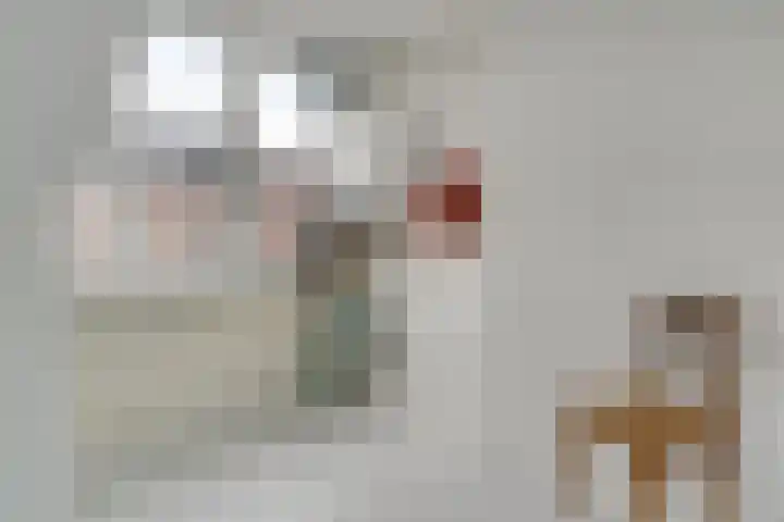Lijnbaansgracht 212 3 Amsterdam thumbnail 17
