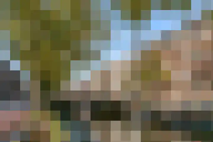 Lijnbaansgracht 212 3 Amsterdam thumbnail 19
