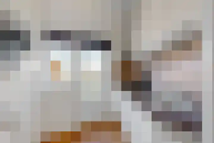 Lijnbaansgracht 212 3 Amsterdam thumbnail 6