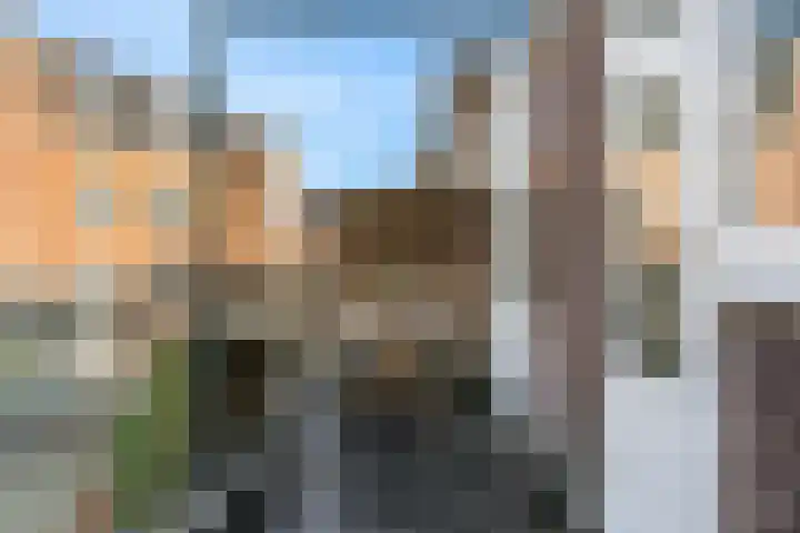 Lijnbaansgracht 212 3 Amsterdam thumbnail 8
