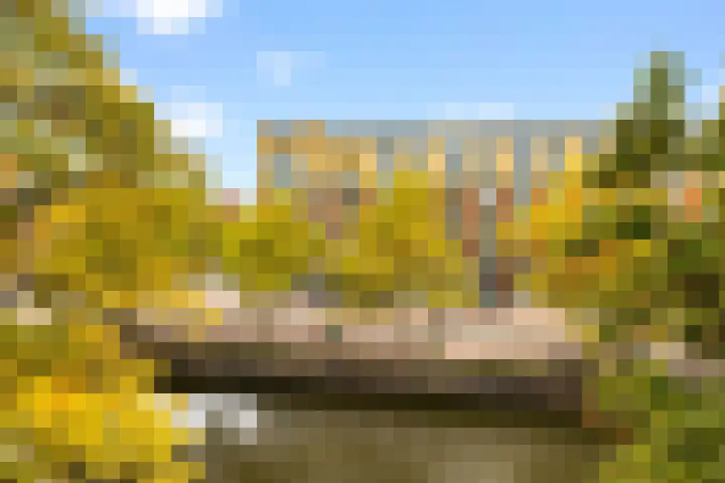 Lijnbaansgracht 213 2 Amsterdam thumbnail 11