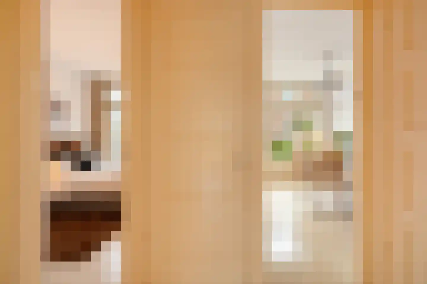 Lijnbaansgracht 213 2 Amsterdam thumbnail 8