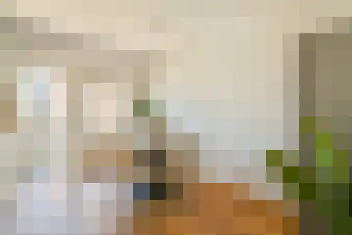 Lijnbaansgracht 213 H Amsterdam thumbnail 9