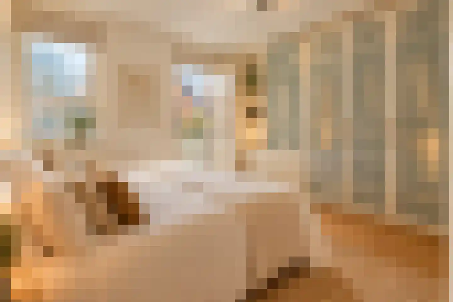 Lijnbaansgracht 225 Amsterdam thumbnail 10
