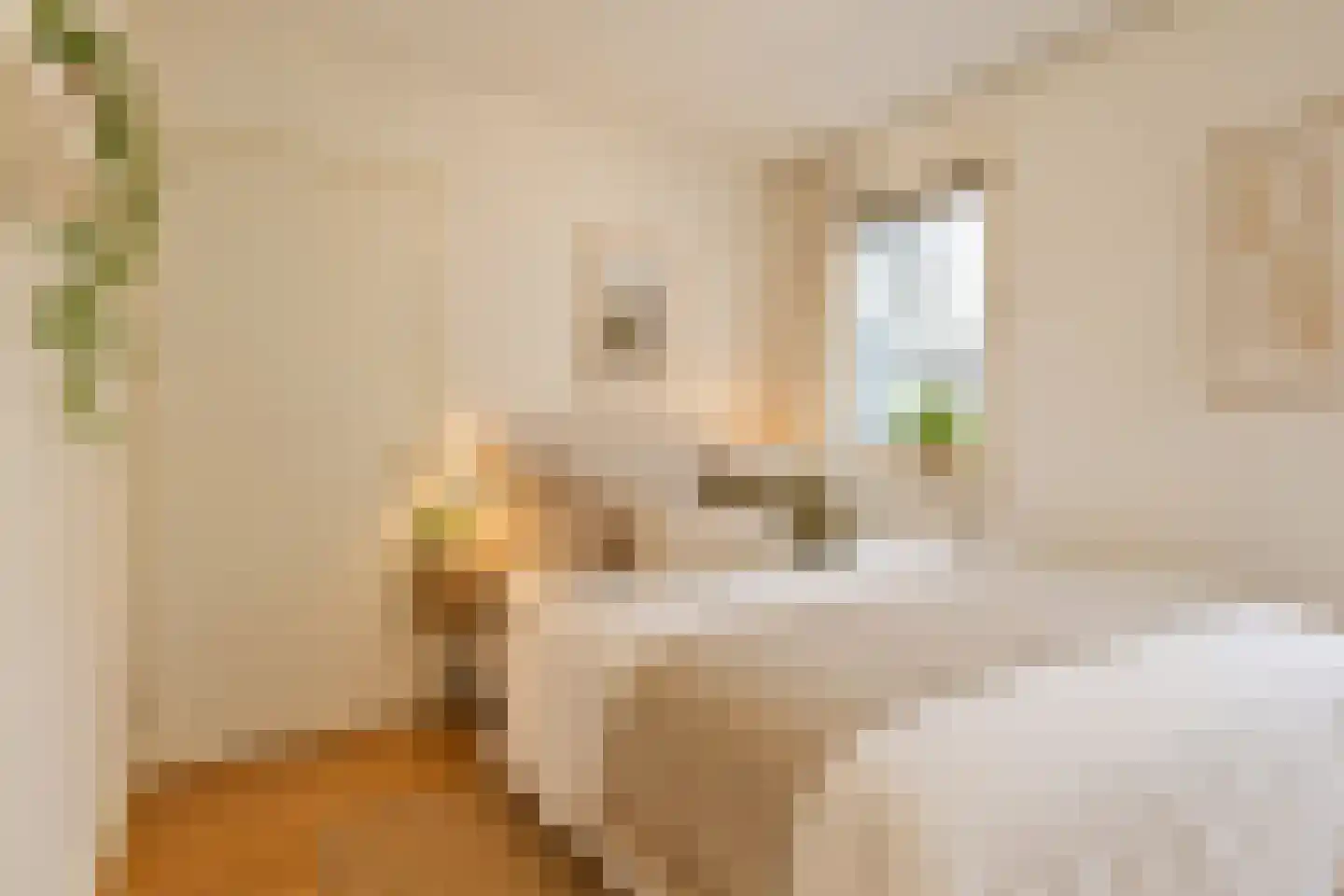 Lijnbaansgracht 225 Amsterdam thumbnail 11
