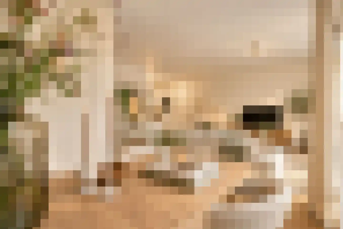 Lijnbaansgracht 225 Amsterdam thumbnail 5