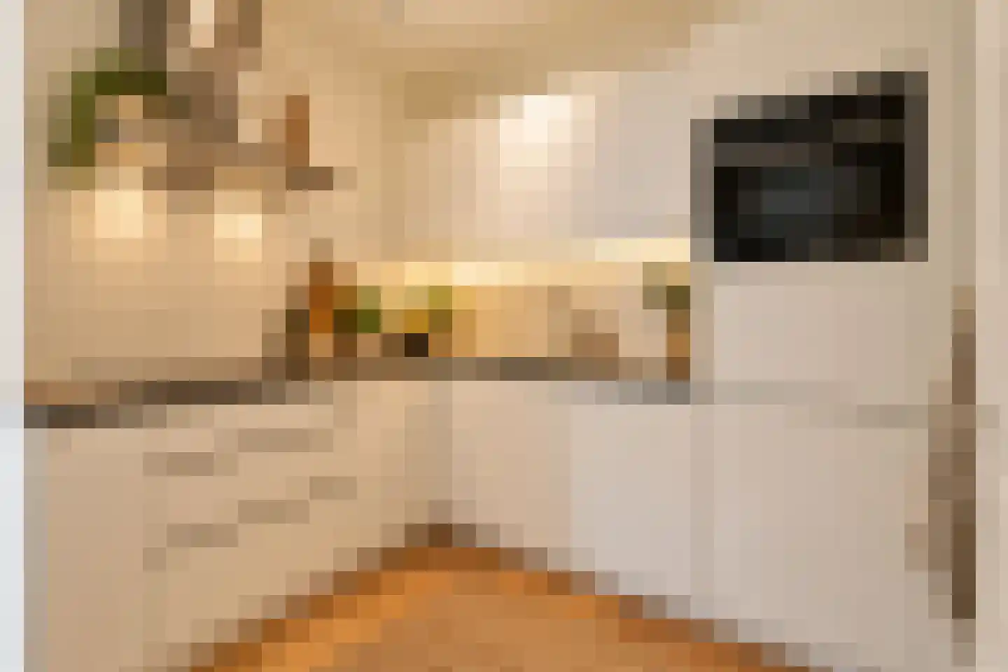 Lijnbaansgracht 225 Amsterdam thumbnail 6