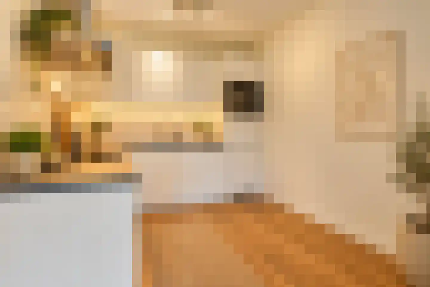 Lijnbaansgracht 225 Amsterdam thumbnail 7