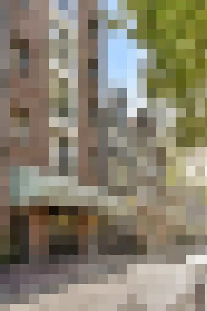 Lijnbaansgracht 246 B Amsterdam thumbnail 22