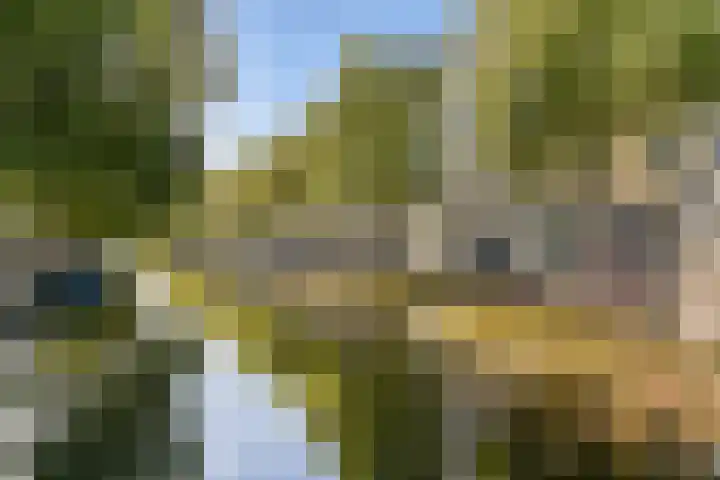 Lijnbaansgracht 246 B Amsterdam thumbnail 23