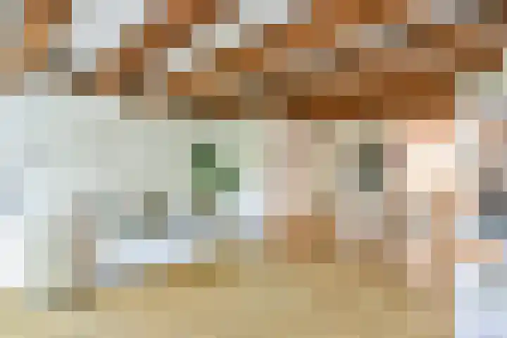 Lijnbaansgracht 246 B Amsterdam thumbnail 4