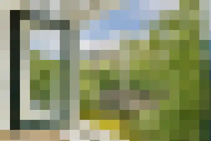 Lijnbaansgracht 250 2 Amsterdam thumbnail 18