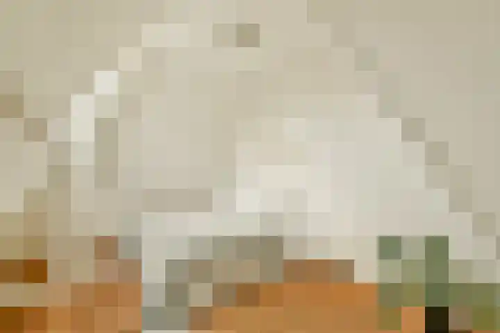Lijnbaansgracht 250 2 Amsterdam thumbnail 33