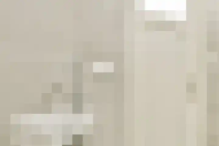 Lijnbaansgracht 250 2 Amsterdam thumbnail 37
