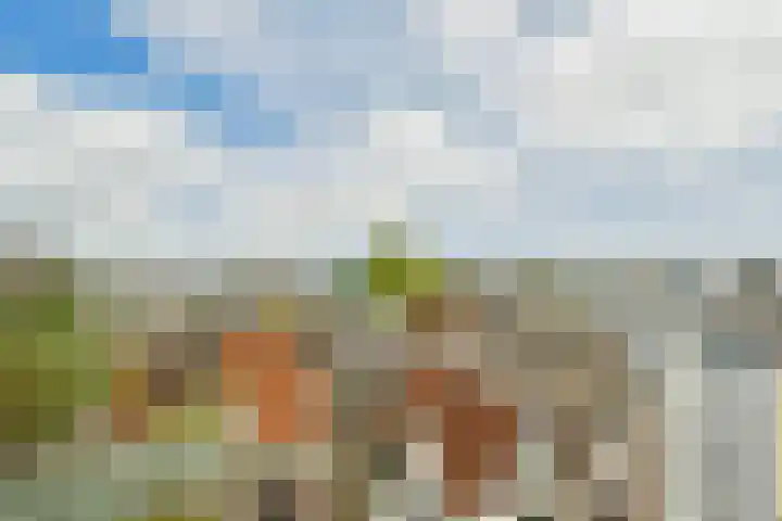 Lijnbaansgracht 250 2 Amsterdam thumbnail 42