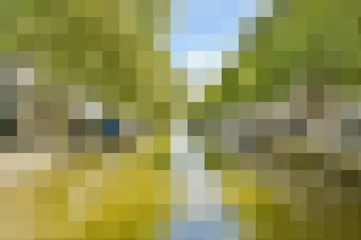 Lijnbaansgracht 250 2 Amsterdam thumbnail 45
