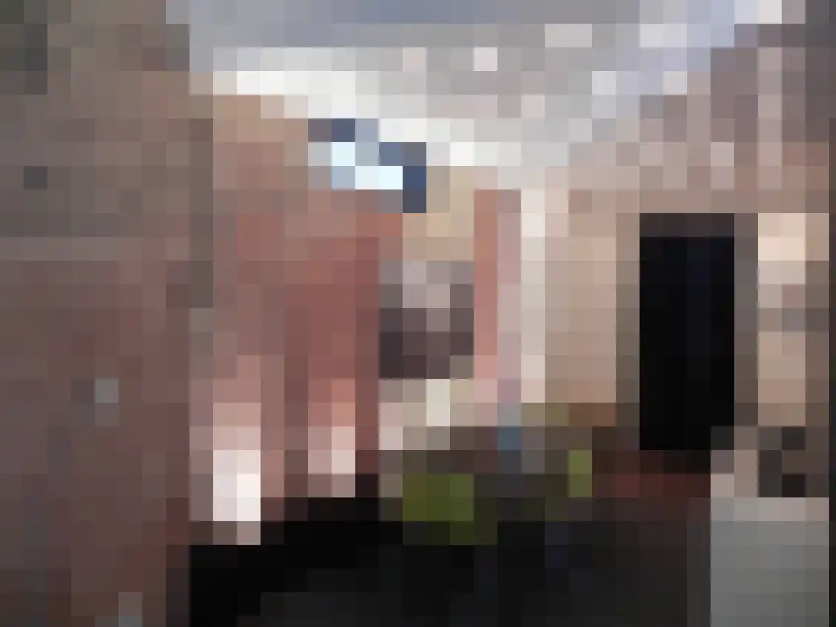 Lijnbaansgracht 255 huis Amsterdam thumbnail 5