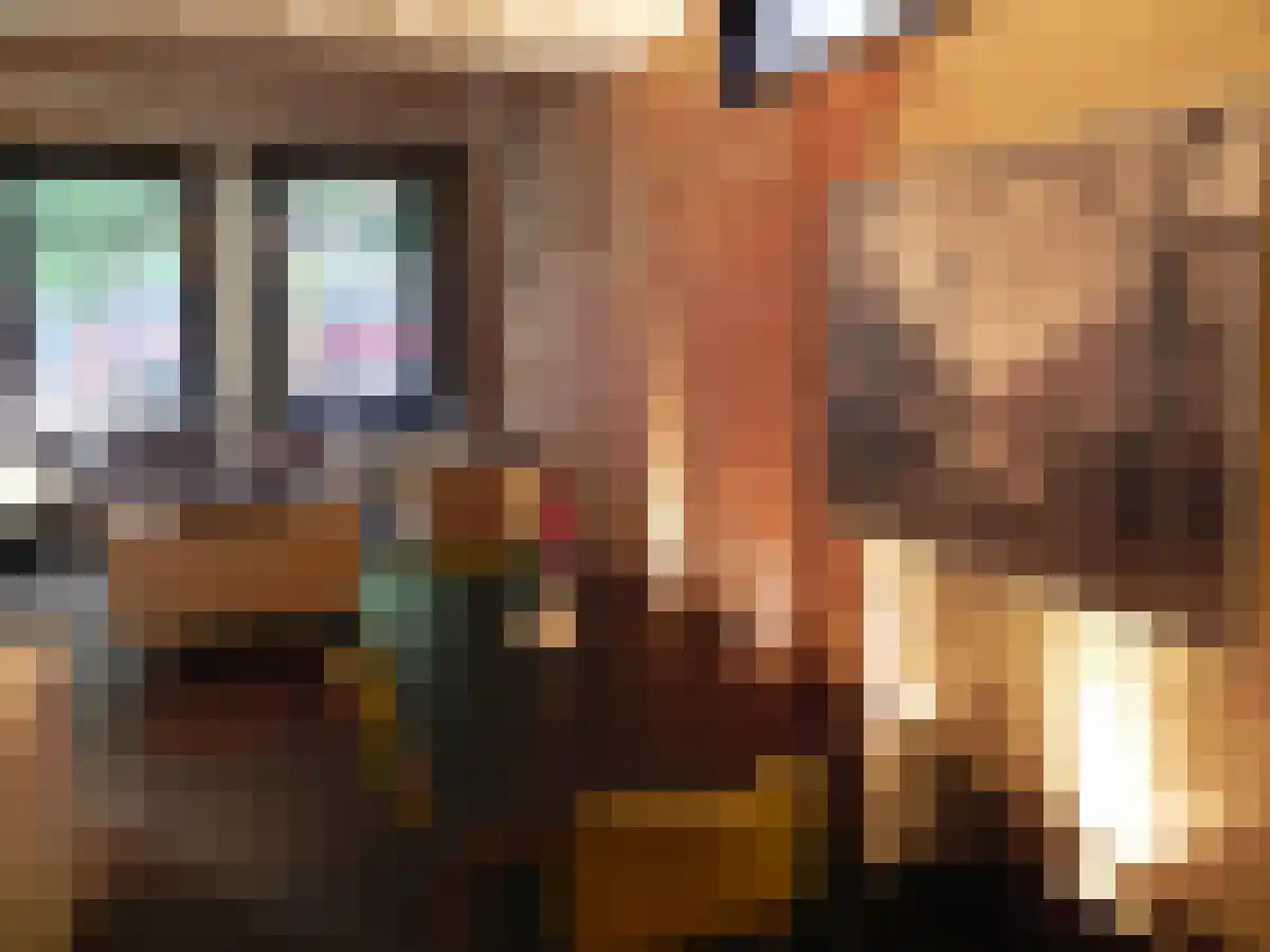 Lijnbaansgracht 255 huis Amsterdam thumbnail 6