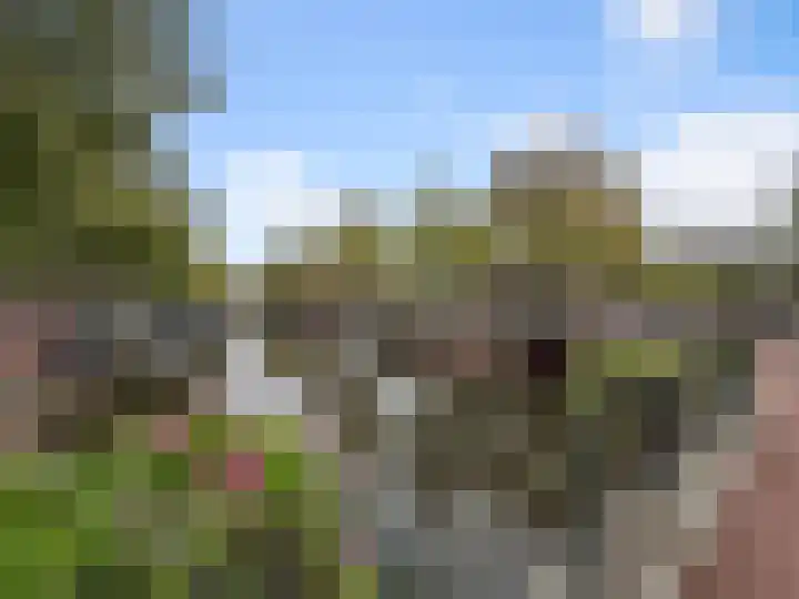 Lijnbaansgracht 258 A Amsterdam thumbnail 25