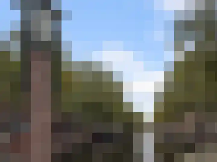 Lijnbaansgracht 258 A Amsterdam thumbnail 26