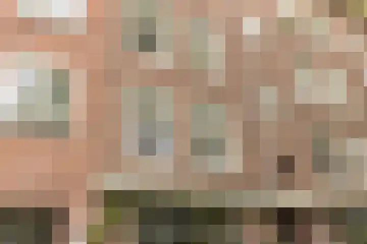 Lijnbaansgracht 265 2 Amsterdam thumbnail 11