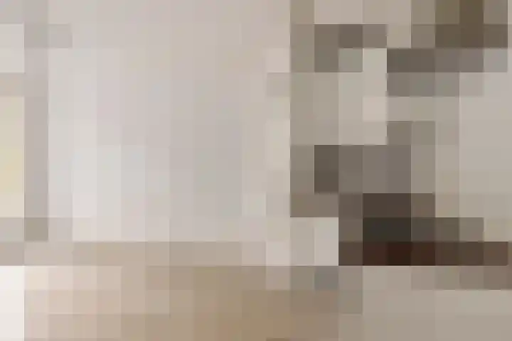 Lijnbaansgracht 265 2 Amsterdam thumbnail 17