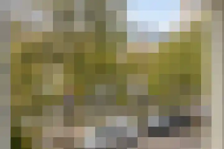 Lijnbaansgracht 265 2 Amsterdam thumbnail 5