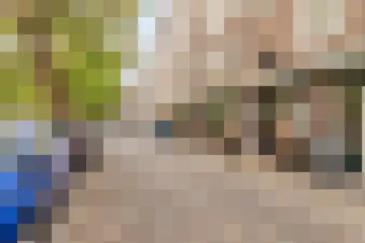 Lijnbaansgracht 265 2 Amsterdam thumbnail 7