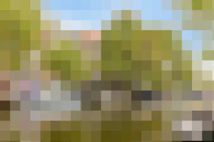 Lijnbaansgracht 265 2 Amsterdam thumbnail 9