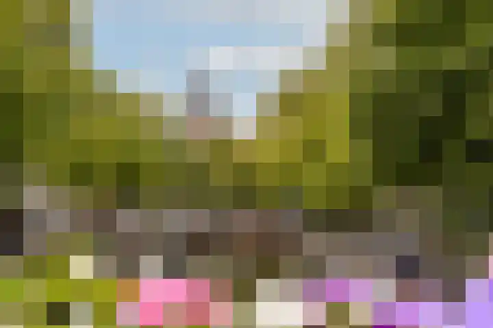 Lijnbaansgracht 275 1 Amsterdam thumbnail 30