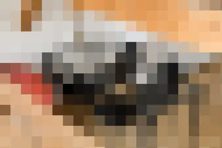 Lijnbaansgracht 275 1 Amsterdam thumbnail 9
