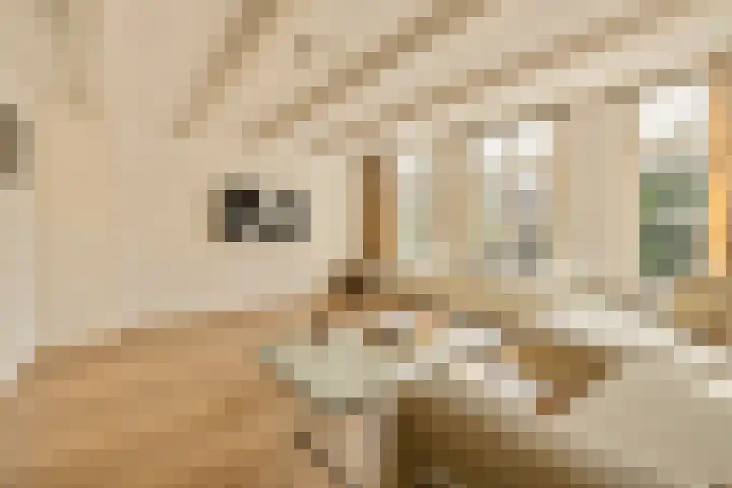 Lijnbaansgracht 275 2 Amsterdam thumbnail 6