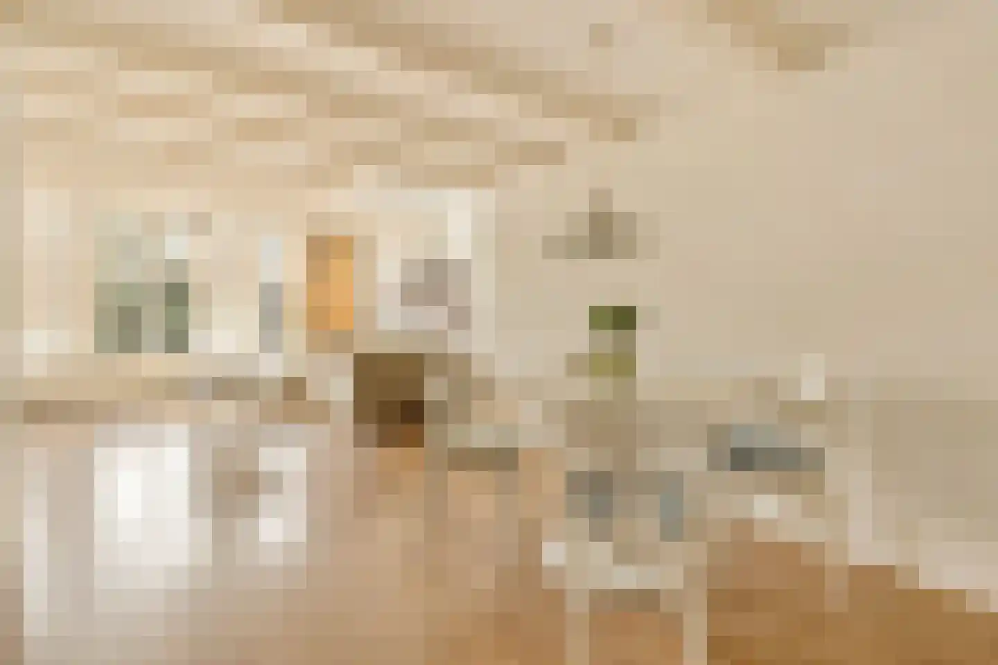 Lijnbaansgracht 275 2 Amsterdam thumbnail 9