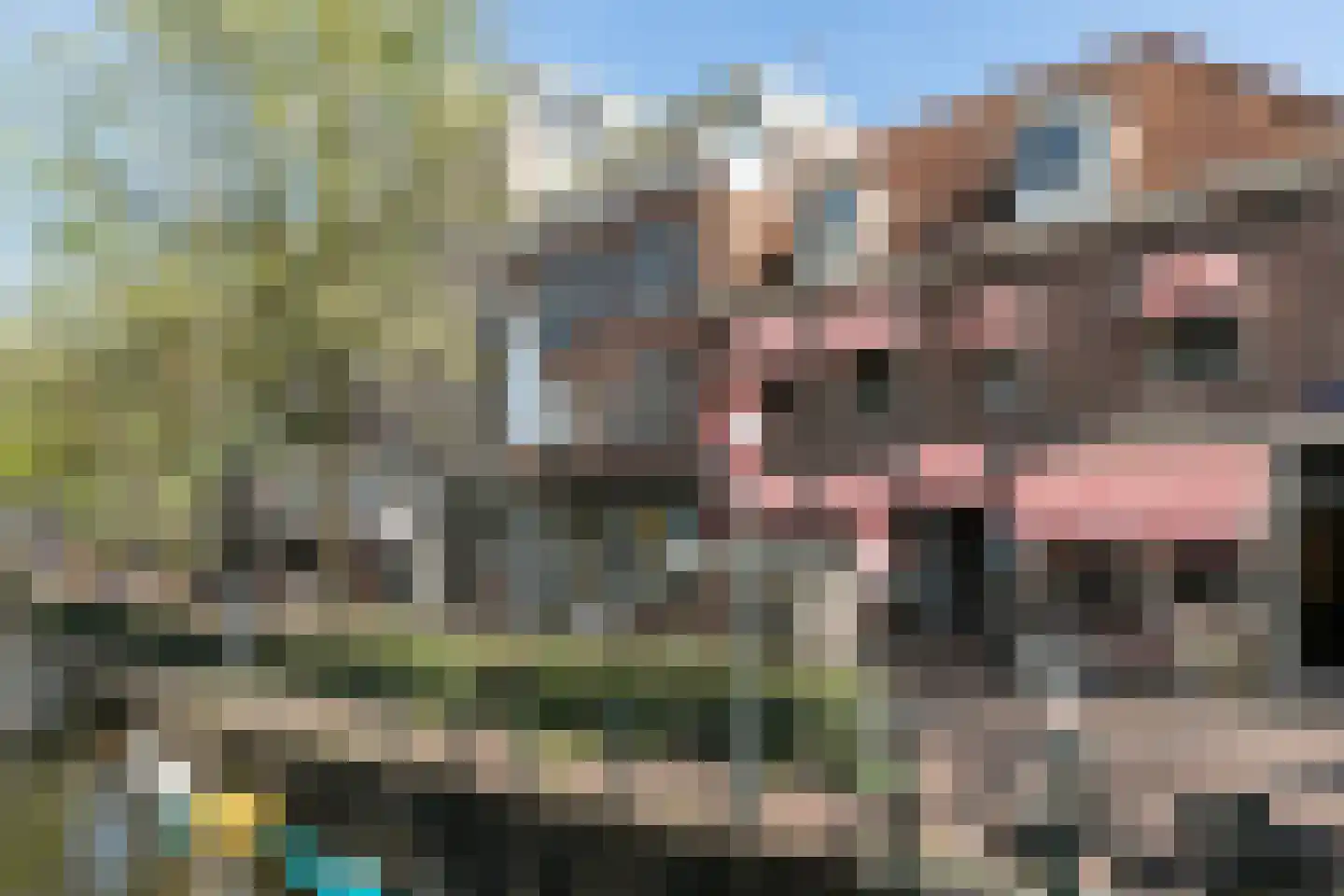 Lijnbaansgracht 280 Amsterdam thumbnail 61