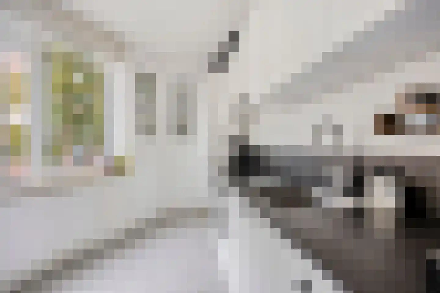 Lijnbaansgracht 29 B Amsterdam thumbnail 10