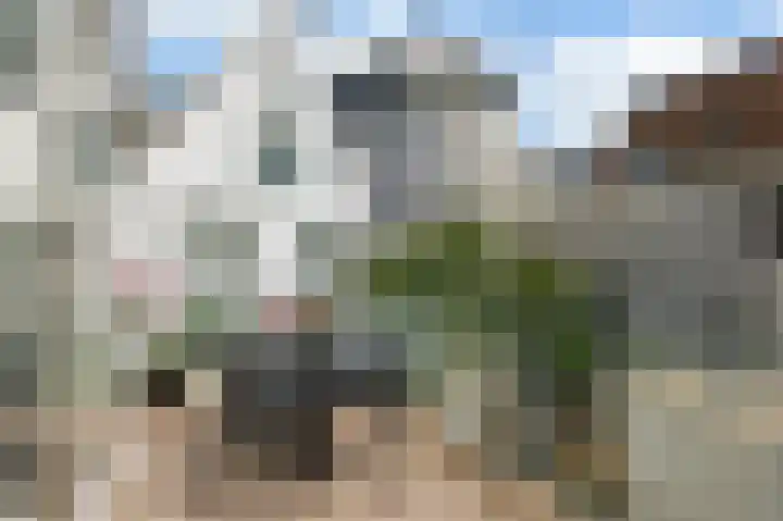 Lijnbaansgracht 293 Amsterdam thumbnail 19