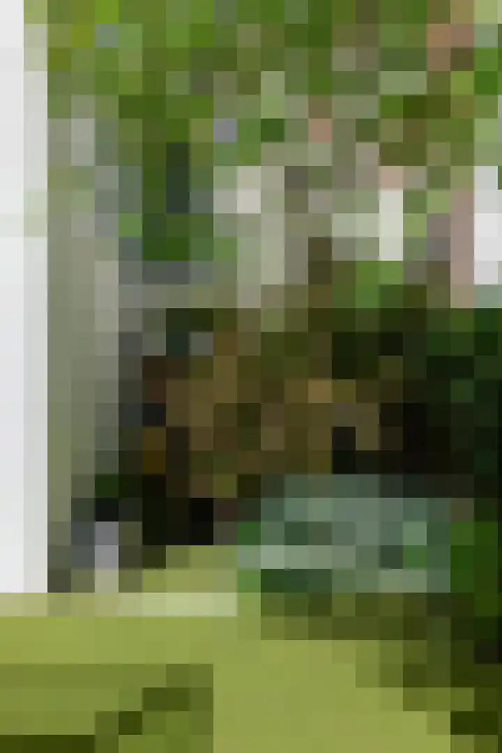 Lijnbaansgracht 293 Amsterdam thumbnail 8