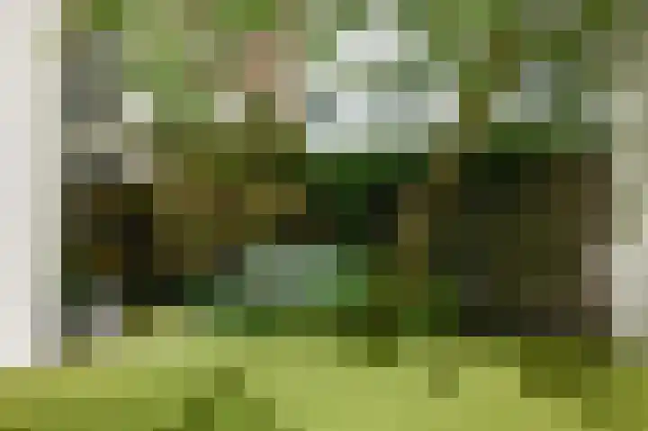 Lijnbaansgracht 293 Amsterdam thumbnail 9