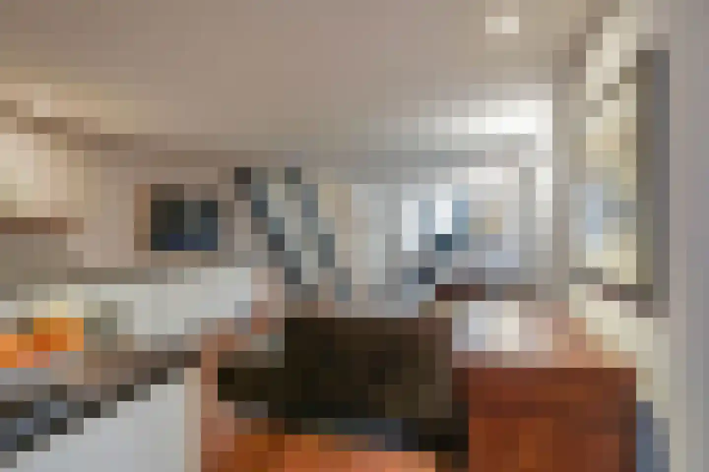 Lijnbaansgracht 321 H Amsterdam thumbnail 10