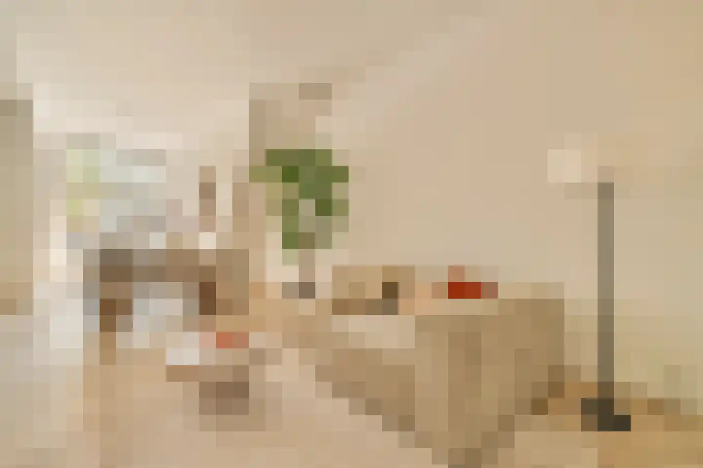 Lijnbaansgracht 322 H Amsterdam thumbnail 11