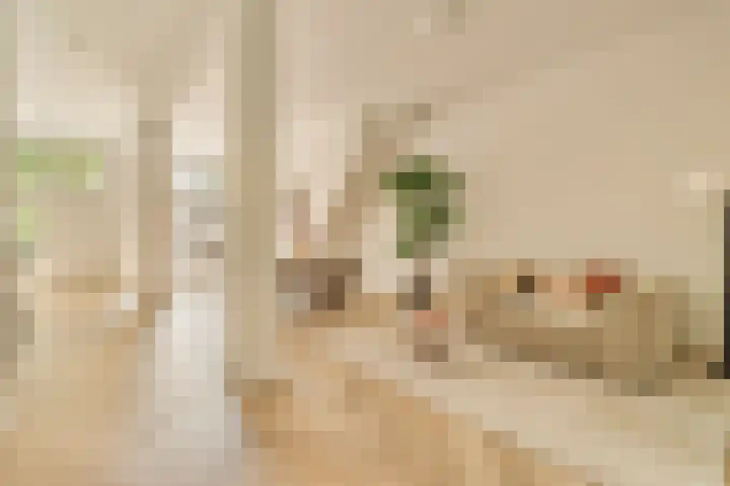 Lijnbaansgracht 322 H Amsterdam thumbnail 13